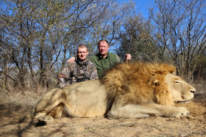 LION-HUNT-kALAHARI-2014