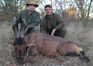 RED-HARTEBEEST