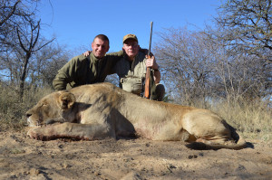 lionees-hunt-Kalahari-Aughust-2014