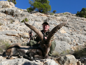 BECEITE-IBEX-SPAIN