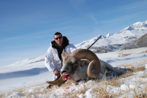 Tien-shan-Argali-2010