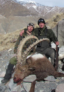 mid-asian-ibex